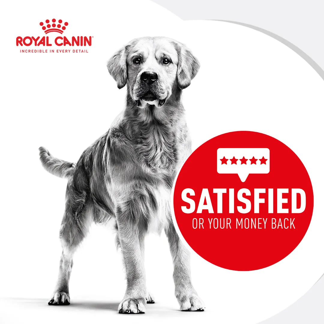 Royal Canin Shih Tzu Loaf Wet Dog Food
