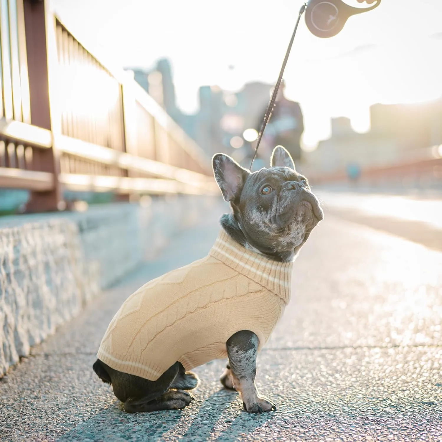 ROZKITCH Dog Sweaters, Pullover Cold Weather Knitwear for Fall Winter, Dog Turtleneck Sweater Classic Thick Warm Clothes Outfit for Chihuahua, Bulldog, Dachshund, Pug, Yorkie Beige L