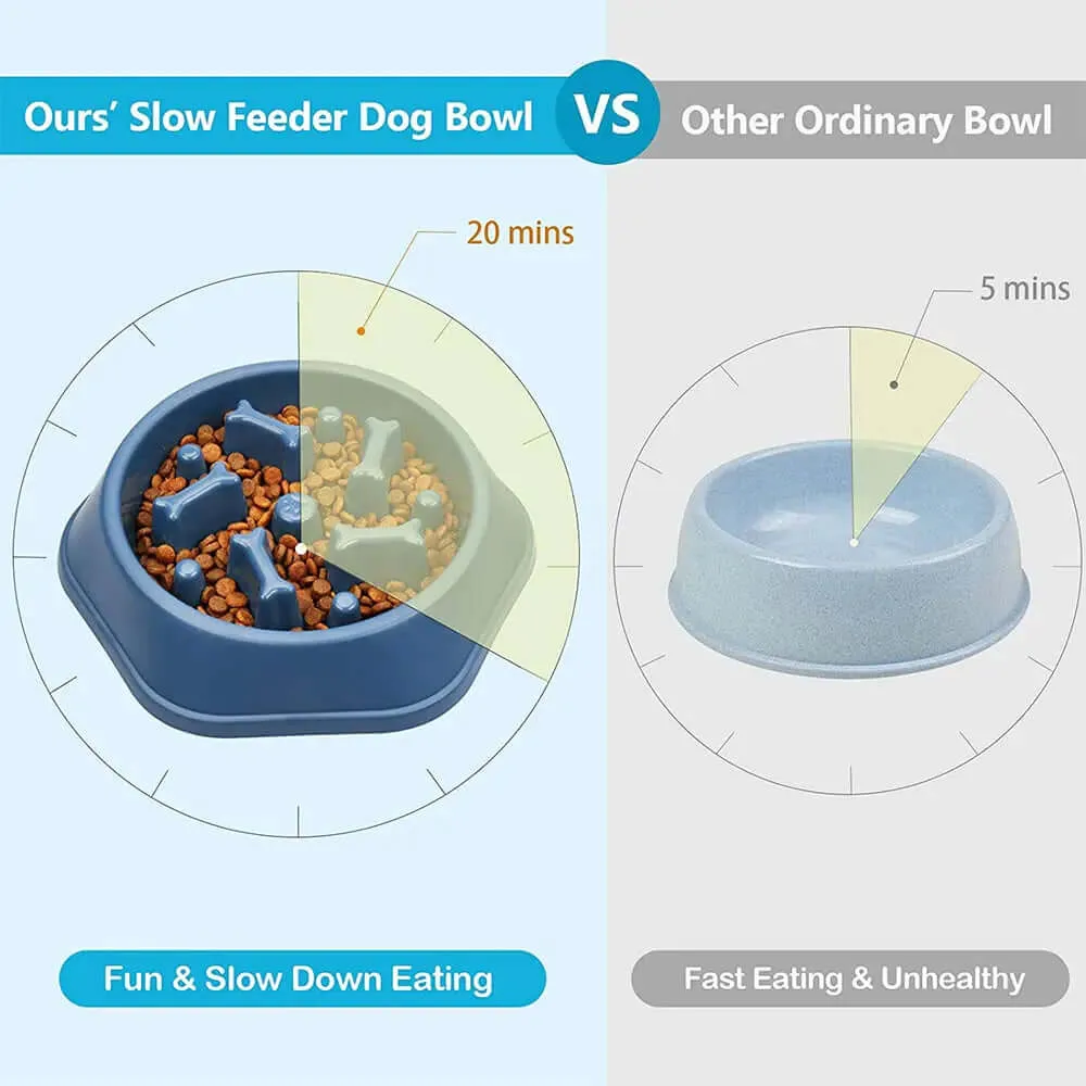 Slow Feeder Dog Bone Design Pet Bowl