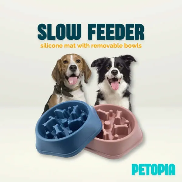 Slow Feeder Dog Bone Design Pet Bowl
