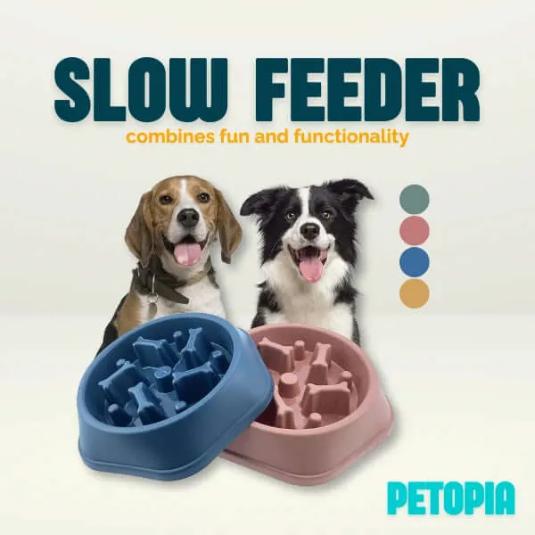 Slow Feeder Dog Bone Design Pet Bowl