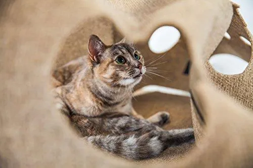 SnugglyCat The Ripple Rug - Made in USA - Cat Activity Play Mat - Thermal Base -Fun Interactive Play - Training - Scratching - Bed Mat