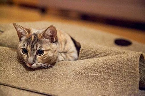 SnugglyCat The Ripple Rug - Made in USA - Cat Activity Play Mat - Thermal Base -Fun Interactive Play - Training - Scratching - Bed Mat
