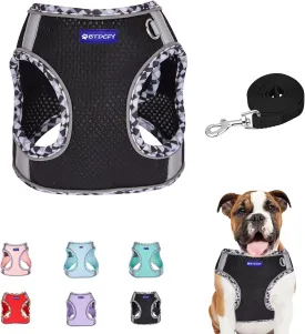 Step in Mesh Dog Harness and Leash Set - Breathable Air Mesh Reflective Escape Proof Dog Harness Vest - No Choke, Lightweight