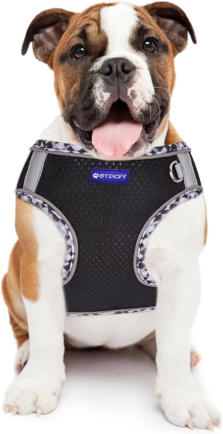 Step in Mesh Dog Harness and Leash Set - Breathable Air Mesh Reflective Escape Proof Dog Harness Vest - No Choke, Lightweight