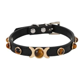 Tiger Eye Pet Collar for Protection