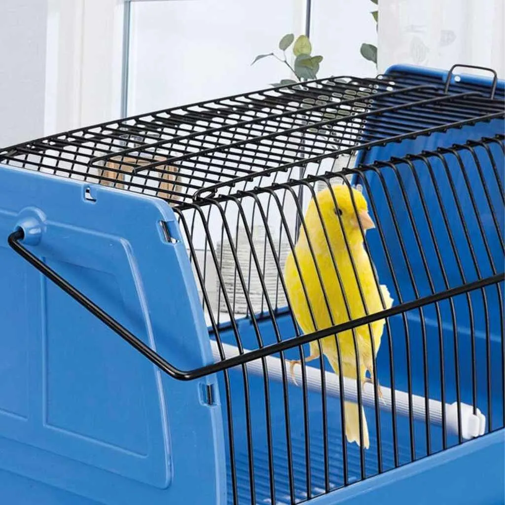 Transport Cage For Birds & Small Animals