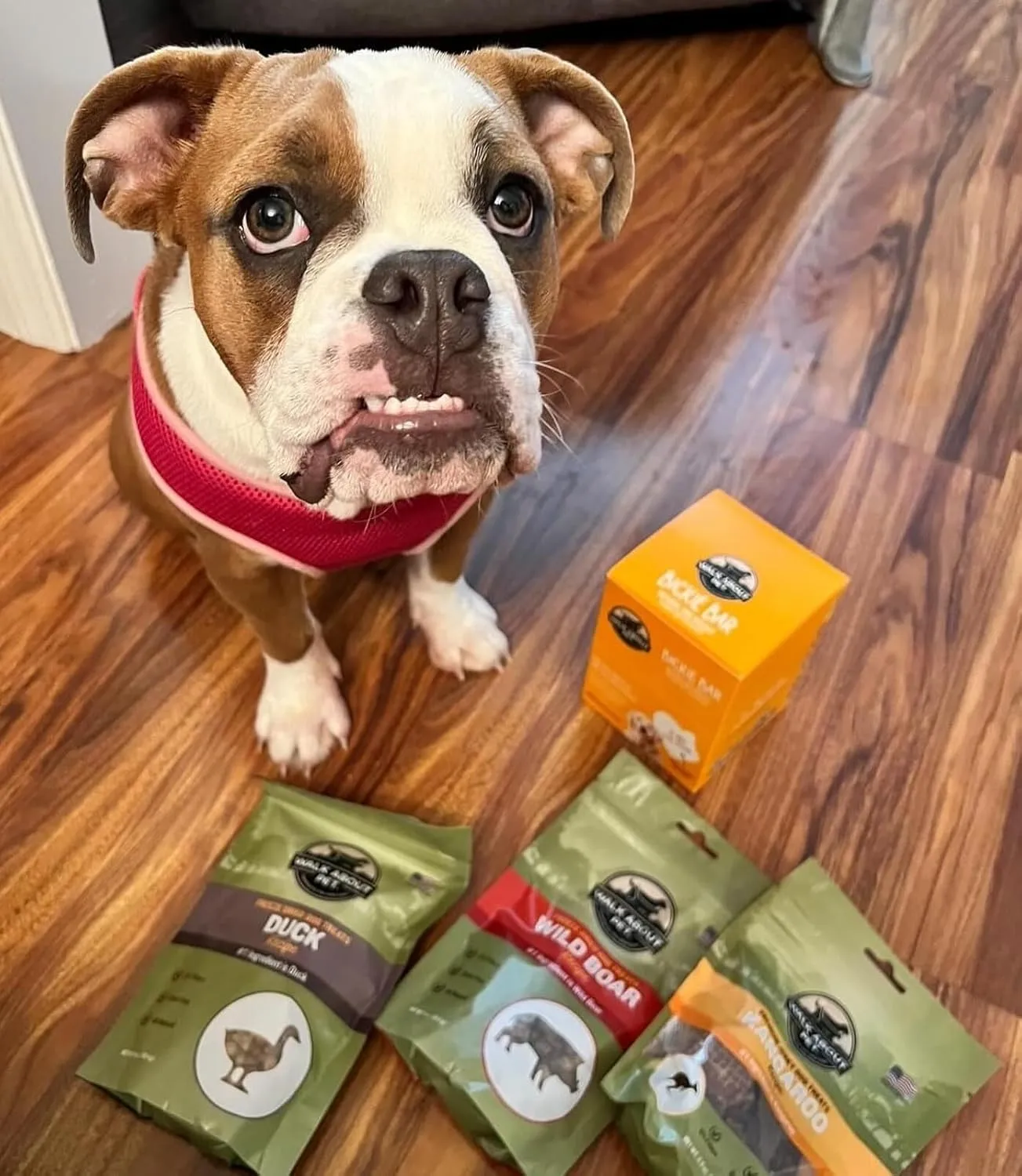 WA10004, Premium Jerky Dog Treats, Grain-Free, Gluten-Free, Single Source Protein, Wild Boar Recipe, Resealable Pouch, 5.5 Ounces